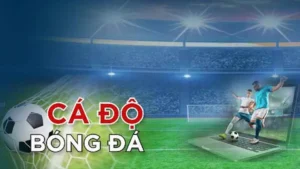 Bí Quyết Thắng Lớn Cá Cược Bóng Đá Tại 69VN Giải Mã 2025 3 Bí Quyết Thắng Lớn Cá Cược Bóng Đá Tại 69VN Giải Mã 2025
