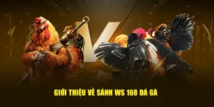 Bí Quyết Chơi Đá Gà WS168 Tại 69VN Thắng Lớn Nhanh Chóng 2 Bí Quyết Chơi Đá Gà WS168 Tại 69VN Thắng Lớn Nhanh Chóng