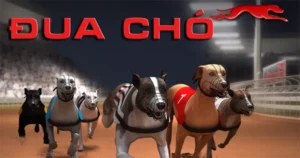 Bí Quyết Chơi Nhanh Đua Chó Tại 69VN Thắng Lớn Ngay Hôm Nay 6 Bí Quyết Chơi Nhanh Đua Chó Tại 69VN Thắng Lớn Ngay Hôm Nay